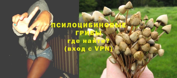 ПСИЛОЦИБИНОВЫЕ ГРИБЫ Алексин