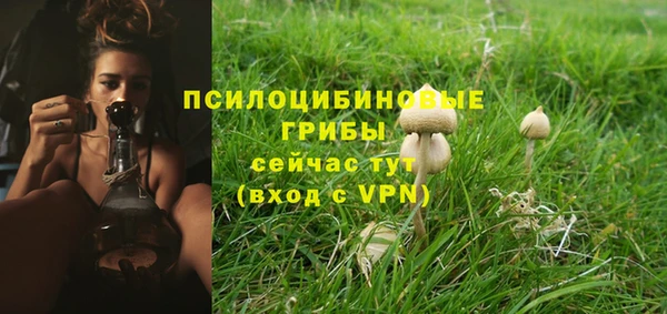 ПСИЛОЦИБИНОВЫЕ ГРИБЫ Алексин
